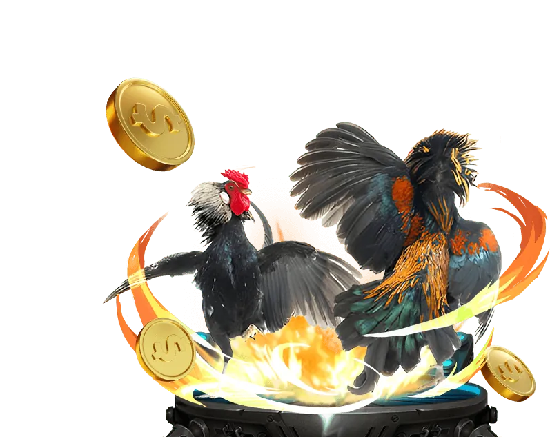 Trực tiếp đá gà 67 hôm nay với gà chọi mạnh mẽ