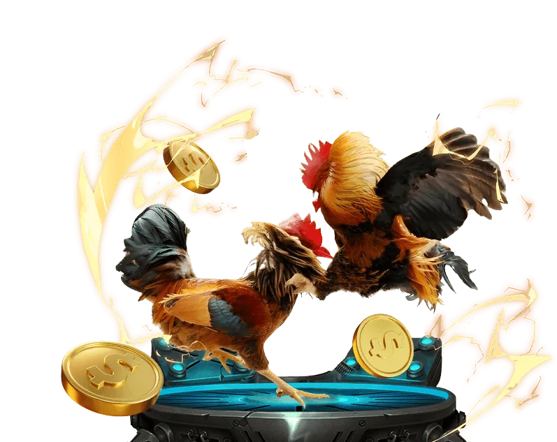 Trọng tài giải thích luật đá gà 67